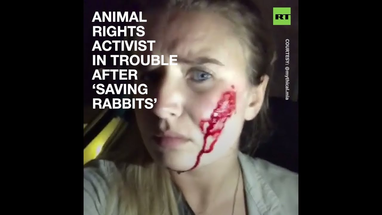 Vegan activist claims being attacked by farmers after ‘rescuing’ 16 rabbits
