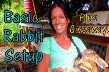 Raising Meat Rabbits - Getting Started - Plus $50 GIVEAWAY!!!