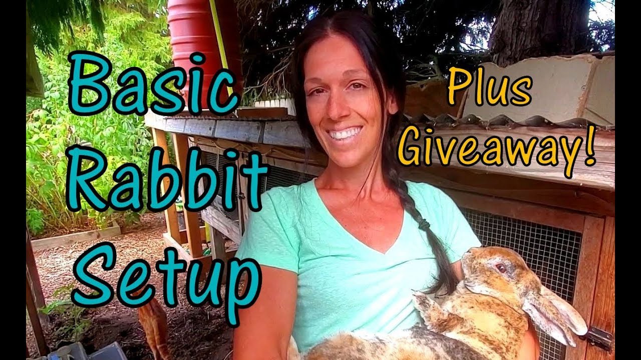 Raising Meat Rabbits - Getting Started - Plus $50 GIVEAWAY!!!