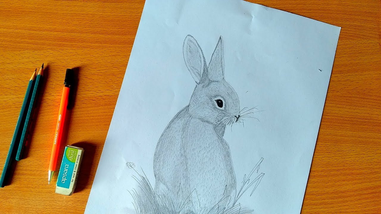Draw Cute Rabbit    Very easy    खरगोश का स्केच बनाये बिल्कुल आसानी से !  Hello Drawing