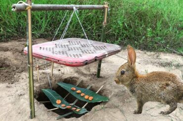 Amazing Forest Man Meet Two Cute Rabbit in The Cave   Catch & Love Rabbit