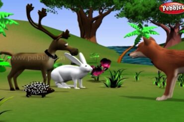 Rabbit and Hedgehog | हिंदी कहानी | 3D Moral Stories For Kids in Hindi | Animal Stories in Hindi