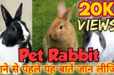 Pet Rabbit लाने से पहले यह बातें जान लो | Know These Points Before Getting Pet Rabbit