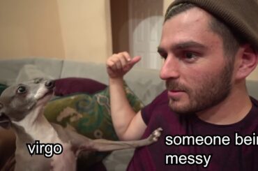 Jenna Marbles' Dogs as Zodiac Signs 2 (ft. Bunny)