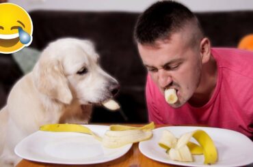 Super Funny Banana Eating with My Cute Dog Bailey [Try Not To Laugh]