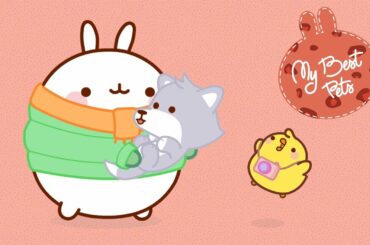 Molang & PiuPiu - Cute Pets | #MyBestPets - Cartoon for kids