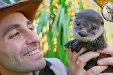 Cutest Baby Otter EVER!!
