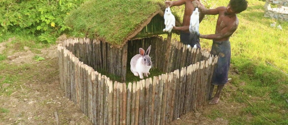 Build Rabbit House using wooden and mud