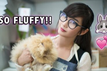 THE CUTEST RABBIT CAFE!!🐰🇯🇵 (Osaka, Japan)