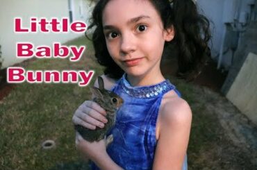 Baby Rabbit Rescued and  Released Back Into The Wild