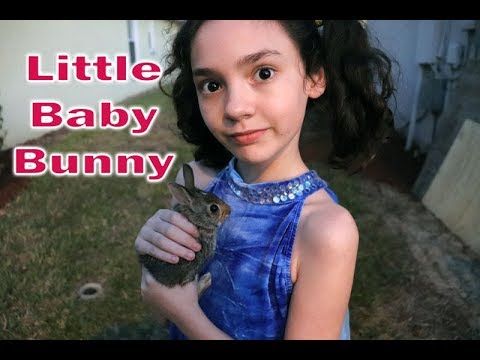Baby Rabbit Rescued and  Released Back Into The Wild