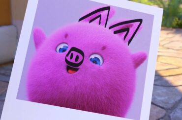 Sunny Bunnies | Taking The Cutest Picture 🐽  | SUNNY BUNNIES COMPILATION | Videos For Kids