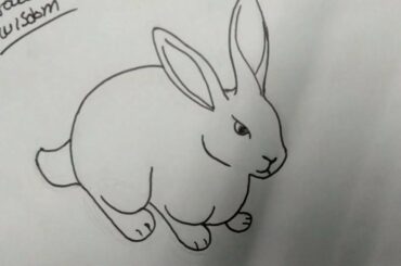 How to Draw A Cute Rabbit Cartoon step by step pencil drawing  by Cute Drawings Wisdom