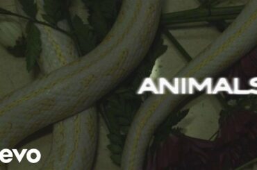 Maroon 5 - Animals (Lyric Video)