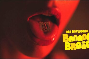 DIE ANTWOORD - BANANA BRAIN (Official Video)