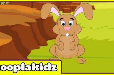 Little Peter Rabbit Song | HooplaKidz Nursery Rhymes & Kids Songs