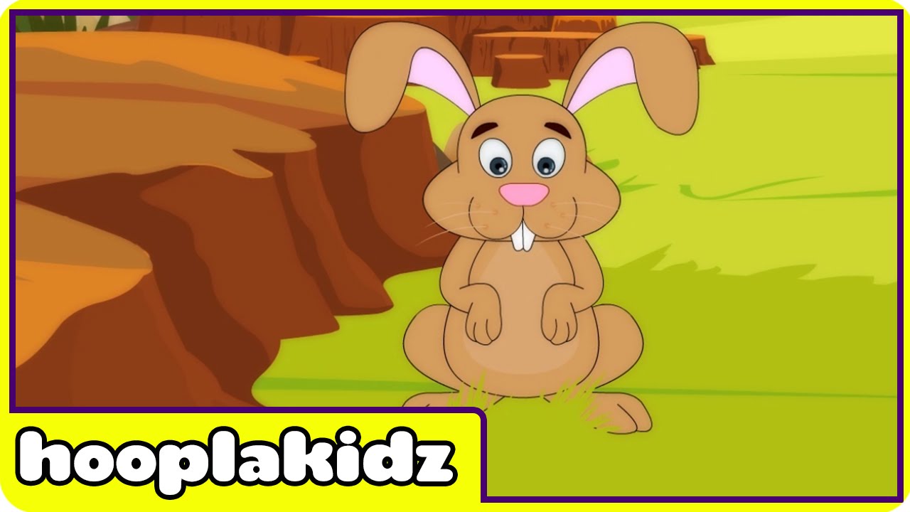 Little Peter Rabbit Song | HooplaKidz Nursery Rhymes & Kids Songs