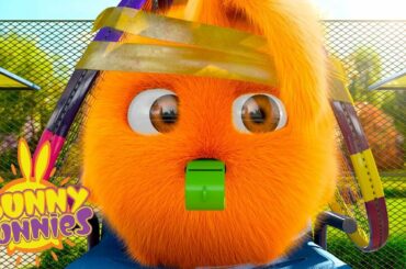 Cartoons for Children | SUNNY BUNNIES - SUNNY TENNIS | Funny Cartoons For Children
