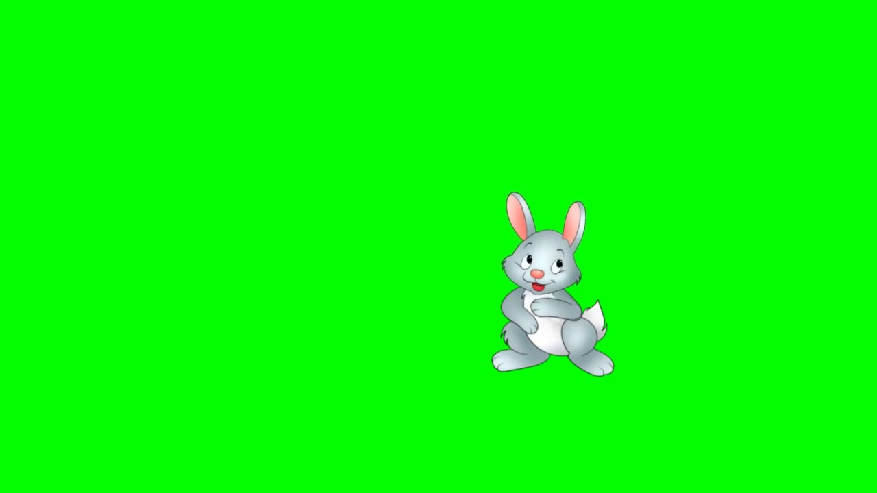 Green screen - Baby Rabbit - Video nền xanh - Thỏ 2