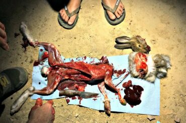 *Extended Cut* Jattas 1st Hunt: Rabbit - 2019