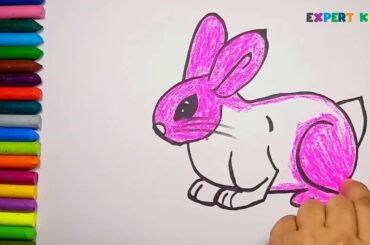How to draw a rabbit or bunny in easy steps for children Kids Children Babies Girls And Boys ExpertK