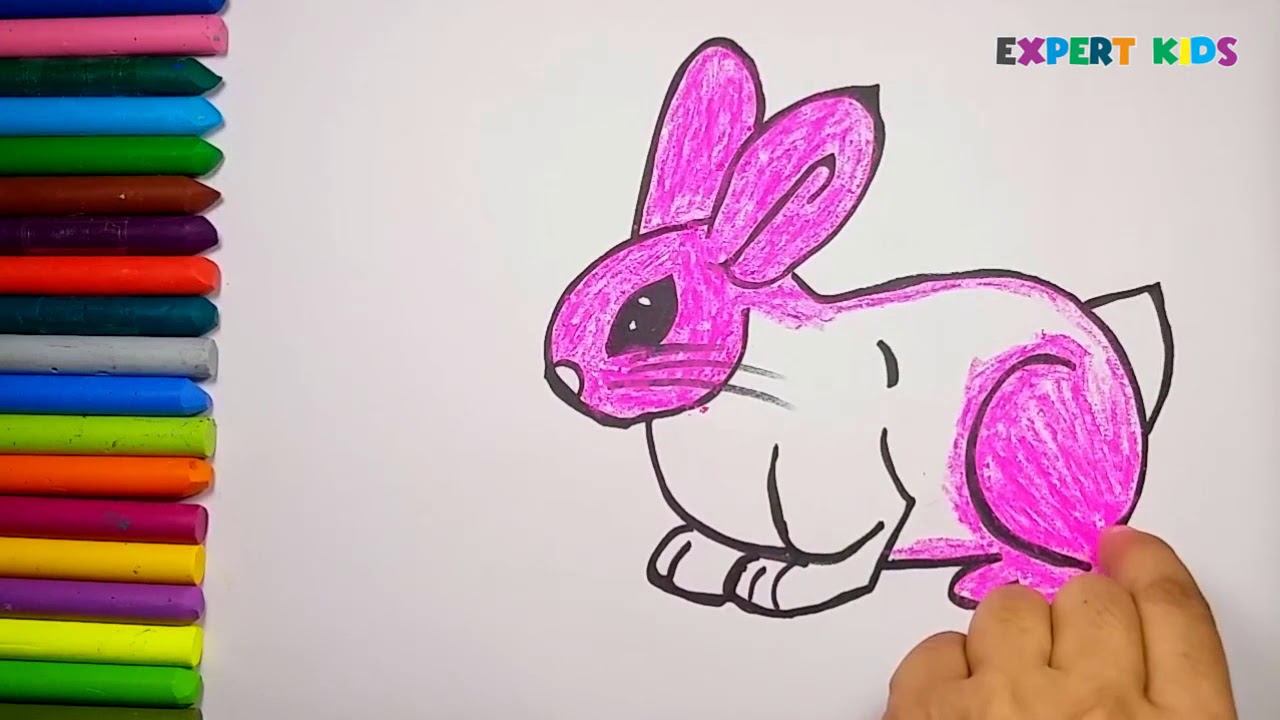 How to draw a rabbit or bunny in easy steps for children Kids Children Babies Girls And Boys ExpertK