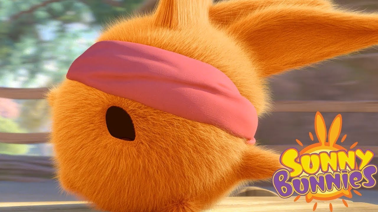 Sunny Bunnies | Blindfold Bunny | Funny Videos For Kids | Wildbrain Cartoons For Kids