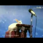 Rabbit singing bam bole🤣🤣🤣🤣🤣🤣very funny...