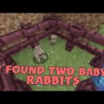 Minecraft: I found two baby rabbits (ft. Sam a.K.A TheTempleKeady1s brother.)