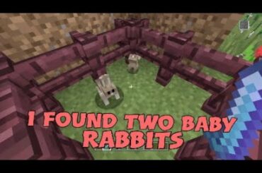 Minecraft: I found two baby rabbits (ft. Sam a.K.A TheTempleKeady1s brother.)