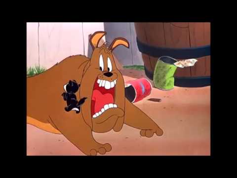 Merrie Melodies - Feed The Kitty