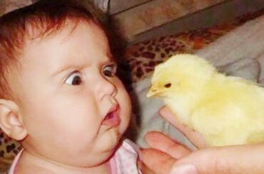 Funniest Baby and Baby Animals Fails - Fun and Fails Baby Video