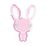 Cute bunny/MOMOLANDREA BTS babyZ