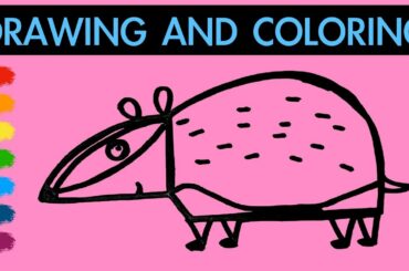 How to draw a cute badger for Kids | Learn colors | Hanny Bunny Kids Art