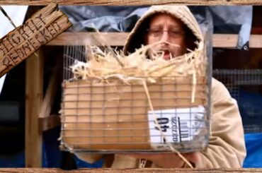 Getting Ready For Baby Rabbits (Hopefully) - The SR Rabbit Update 2-12-18