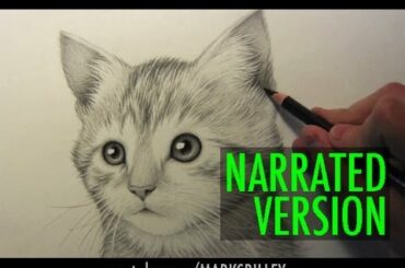 How to Draw a Kitten: Narrated Step by Step