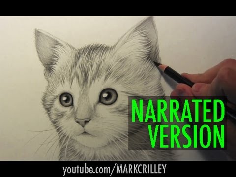 How to Draw a Kitten: Narrated Step by Step