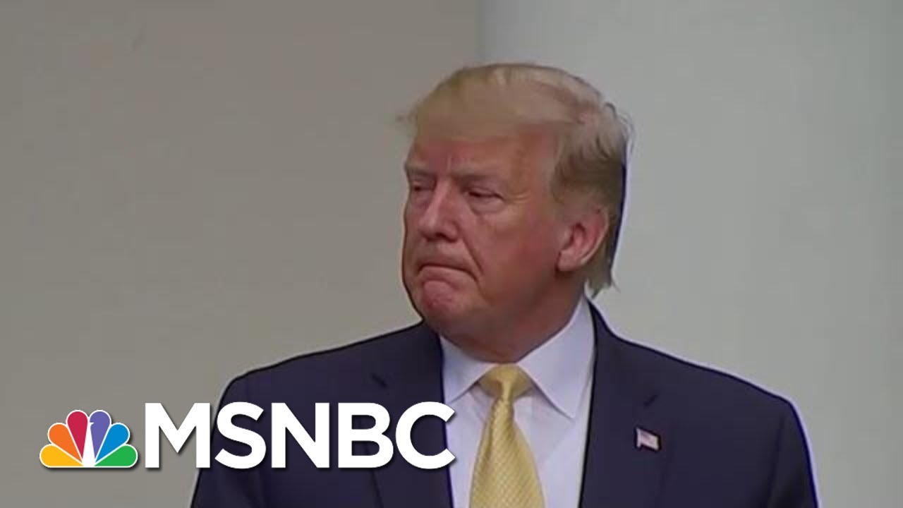 New Details Emerge As Trump Fights To Quash Whistleblower Report | Rachel Maddow | MSNBC