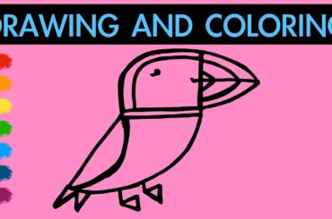How to draw a cute puffin for Kids | Learn colors | Hanny Bunny Kids Art