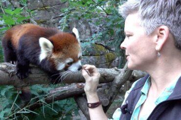Which Oregon Zoo Animal is the Cutest?