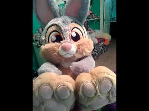 Just a cute bunny