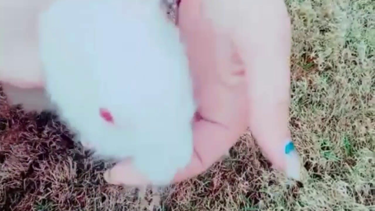 My baby rabbit | Tiktok viral bunny | Tiktok trending video | Tiktok my cutest rabbit
