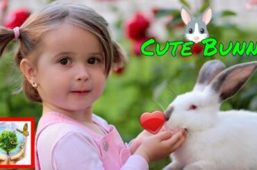 Funny Rabbi And Cute Bunny videos, Nature Lovers