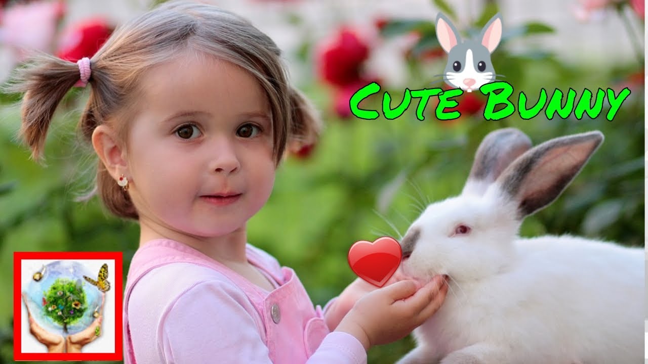Funny Rabbi And Cute Bunny videos, Nature Lovers