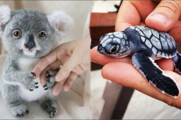 Cute baby animals Videos Compilation cute moment of the animals - Cute Animal Babies #7