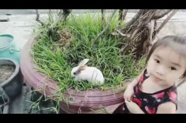 Rabbit Baby KiKi | Thỏ con tên KiKi dể thương đáng yêu được cho đi ăn.