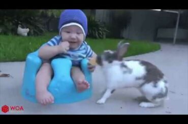 Cute Babies and Rabbits   Funny Babies and Animals