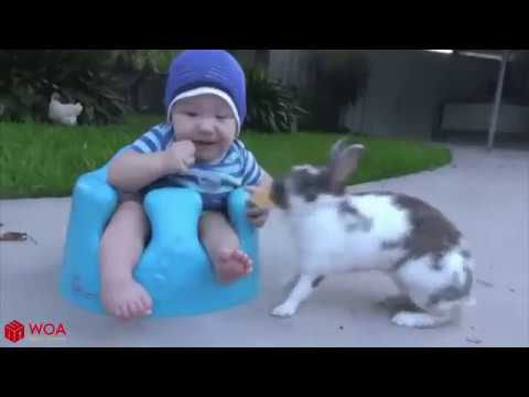Cute Babies and Rabbits   Funny Babies and Animals