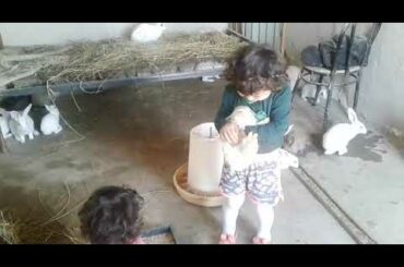 Cute Friendship Kids and Rabbits - Kids and Bunny Rabbit playing together