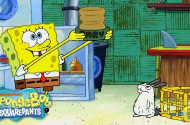 Adopts a Sea Bunny! 🐰 EXCLUSIVE Sneak Peek | SpongeBob
